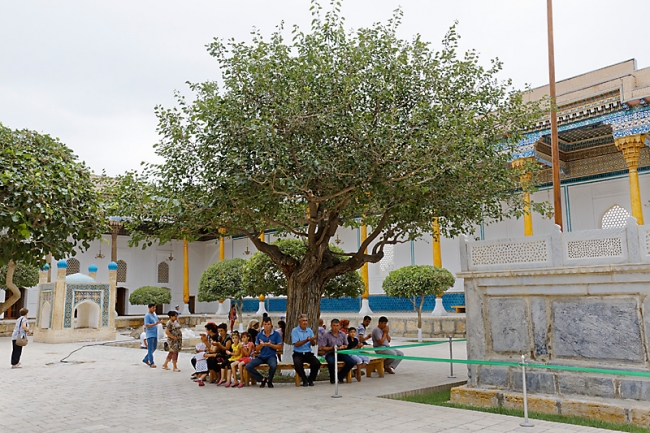 Bagahudin Nakshbandi-019